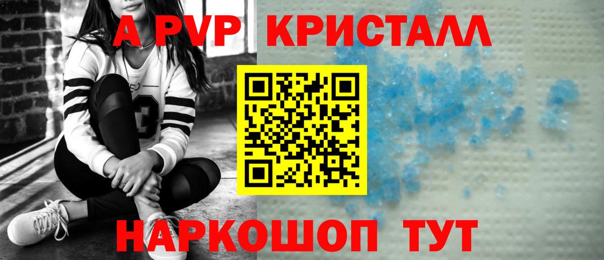 A-PVP СК Новочеркасск