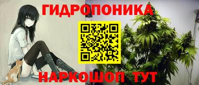 бошки Будённовск
