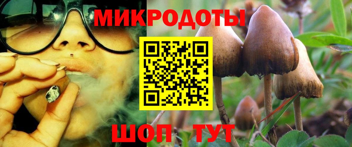 Новочеркасск  как найти закладки  Псилоцибиновые грибы GOLDEN TEACHER  Вход с VPN  Псилоцибиновые грибы Psilocybe 